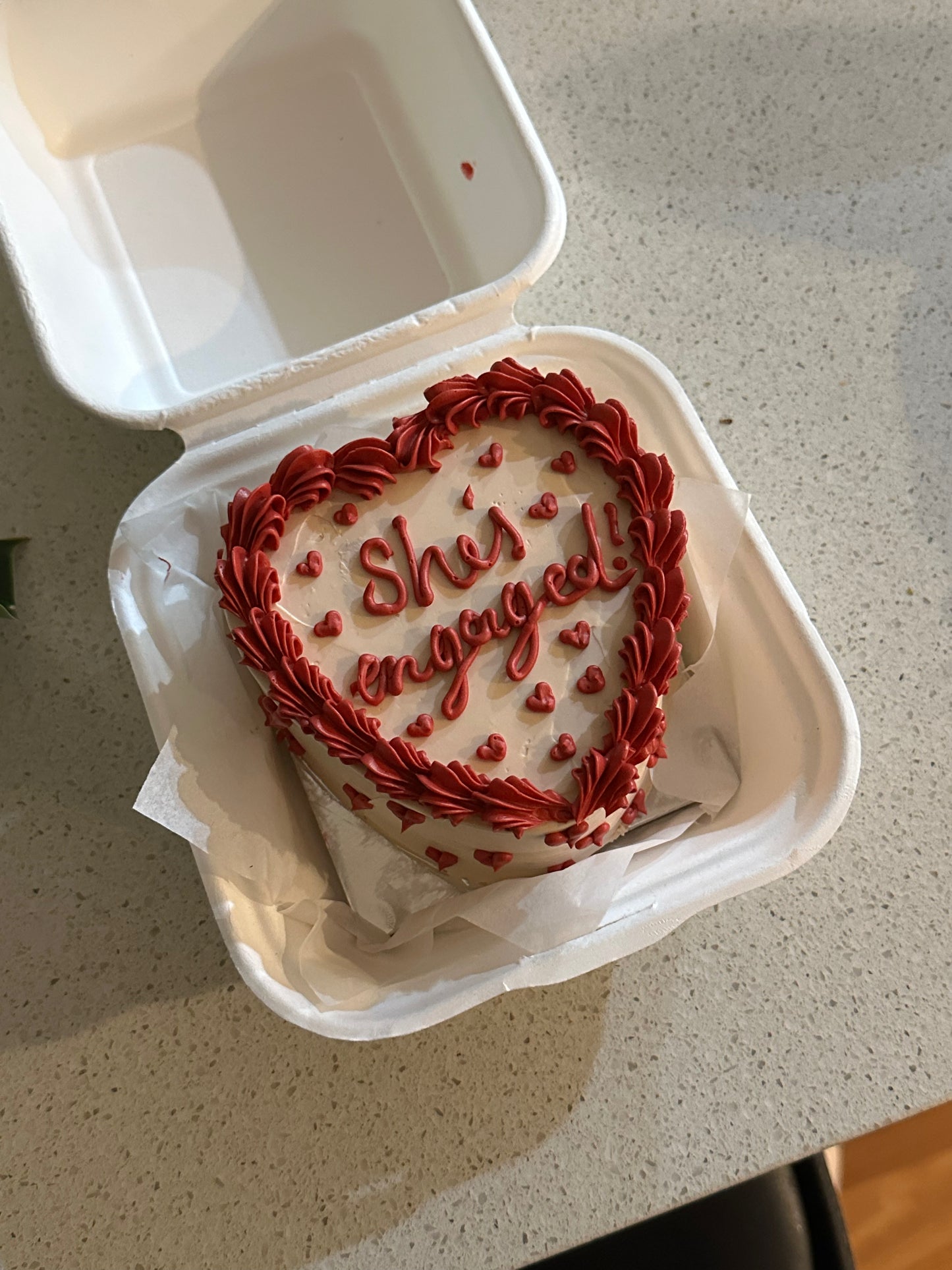 Custom Bento Cake