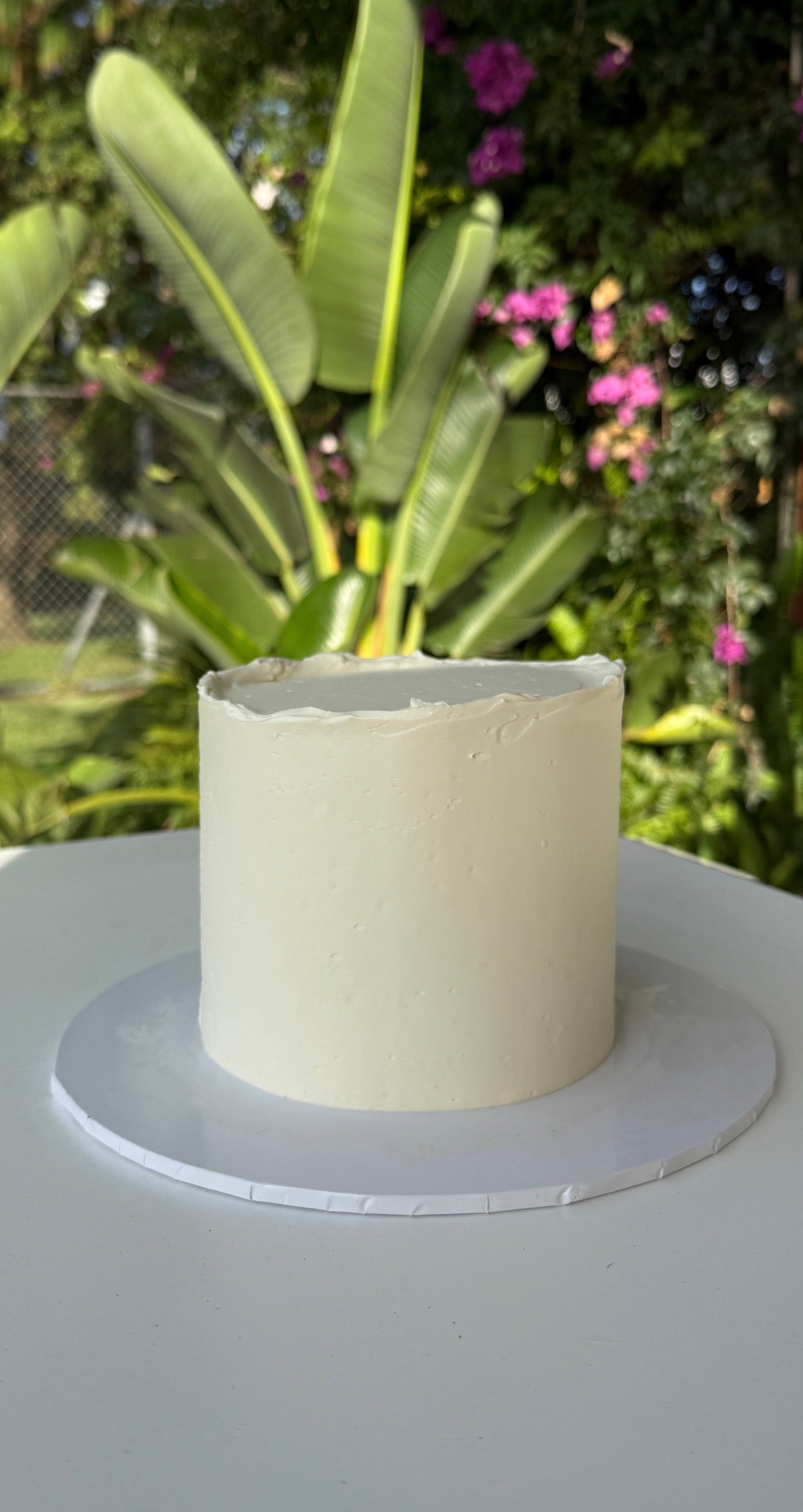 Plain Buttercream Cake